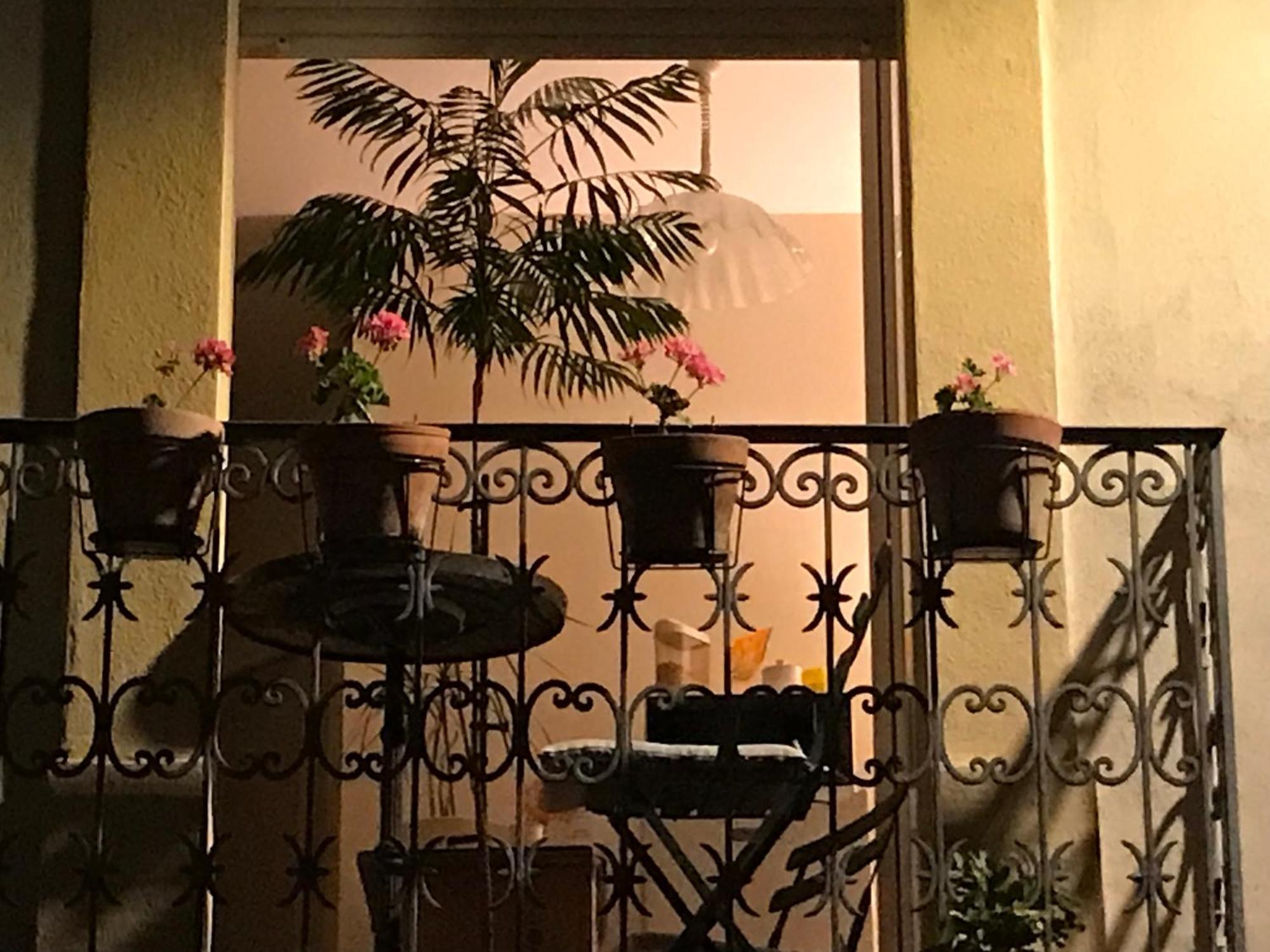 Chambre Japonaise Montpellier Eksteriør billede