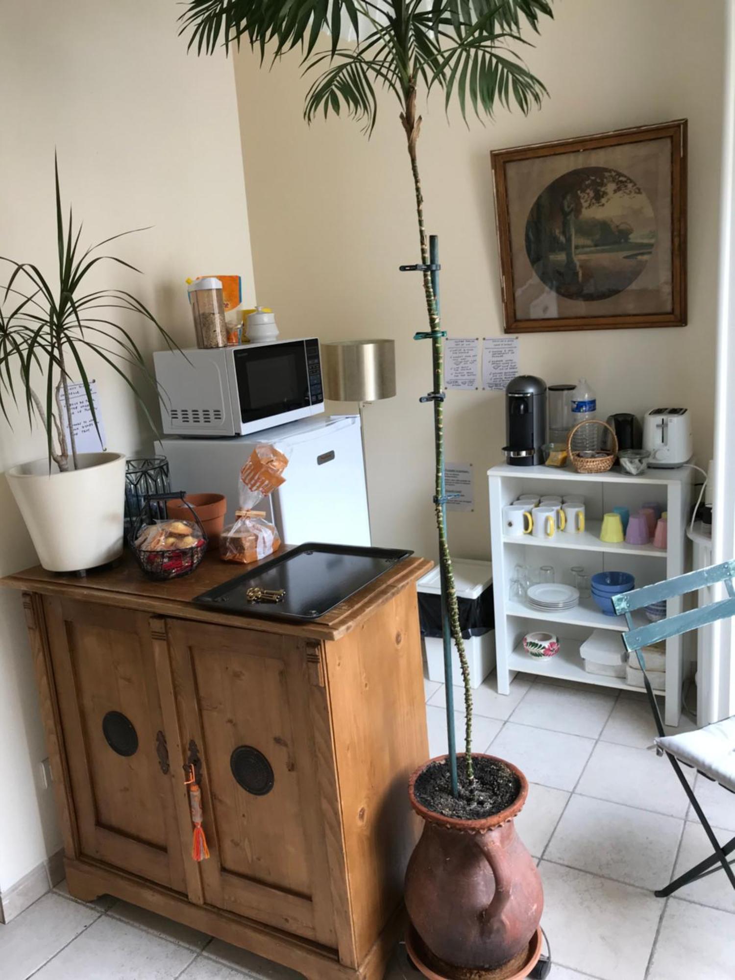 Chambre Japonaise Montpellier Eksteriør billede